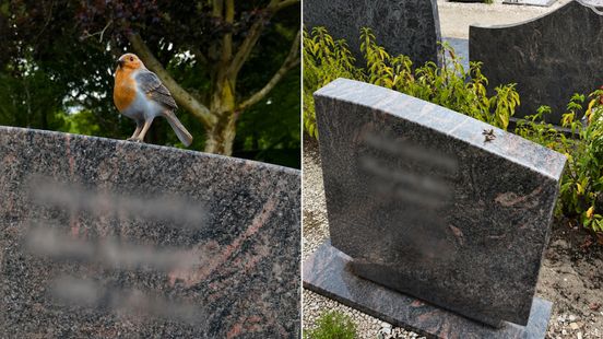 Bronzen roodborstje bij pootjes op graf afgesneden: 'Ik ben razend en verdrietig' Home