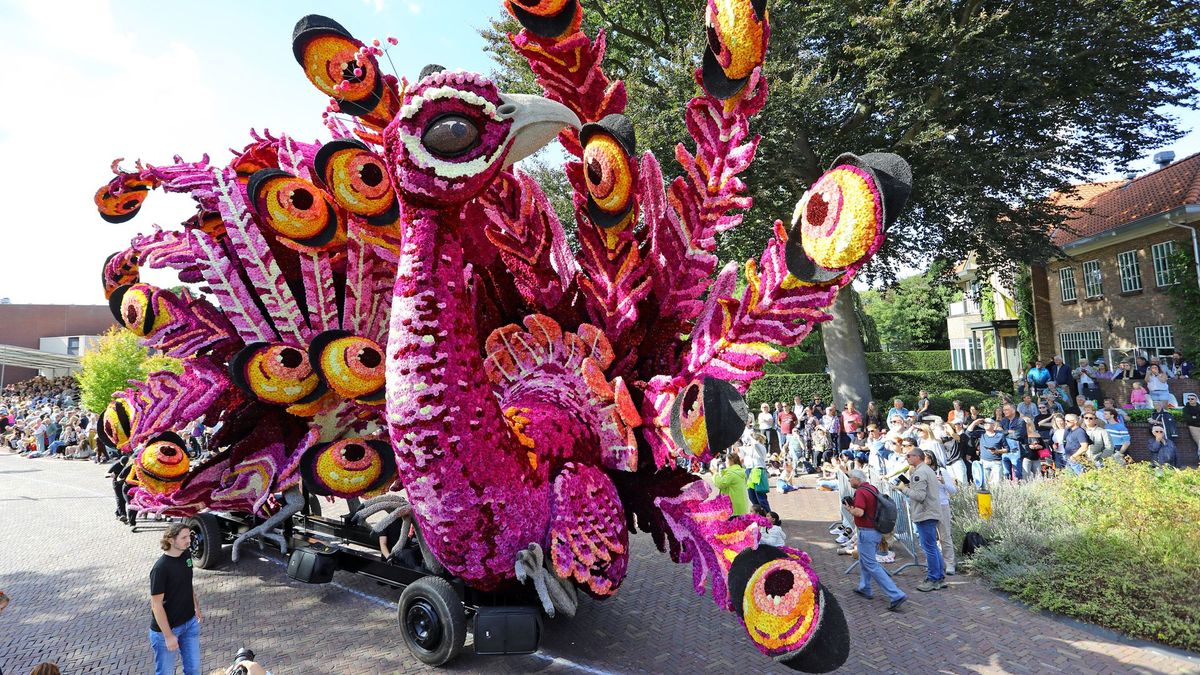 Dit is de winnaar van het Bloemencorso in Lichtenvoorde