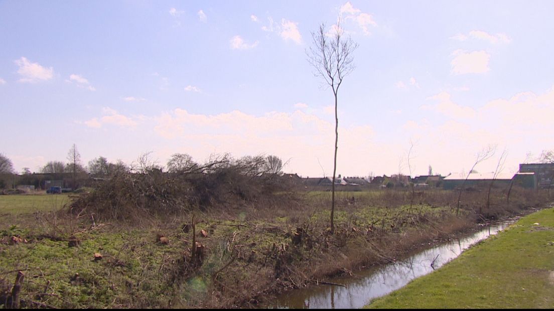 Buurt verbaasd over kaalslag bij stadscamping