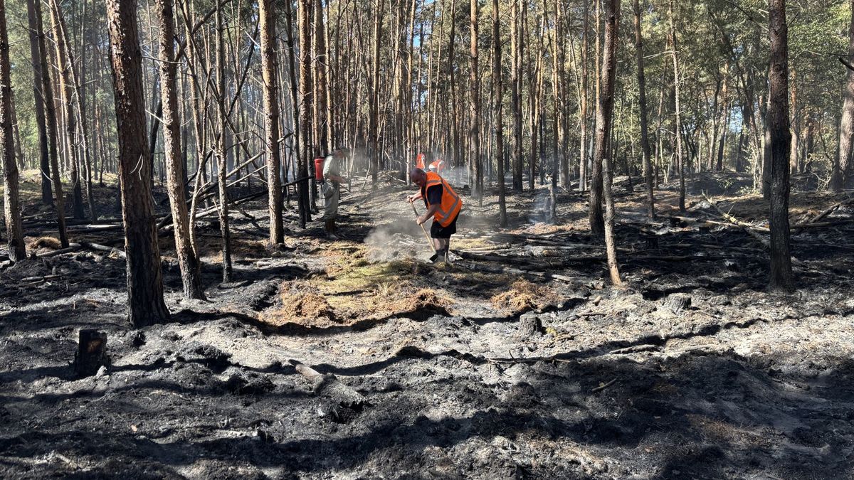 Oostrum hoopt op regen: brandjes blijven ontstaan in verwoest natuurgebied