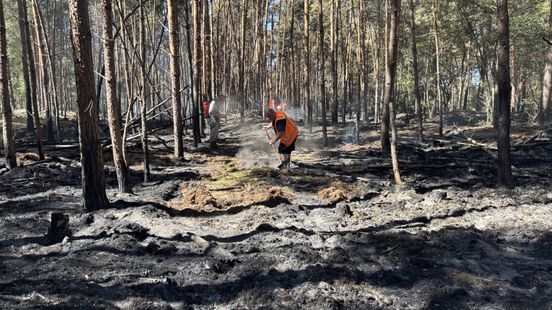Oostrum hoopt op regen: brandjes blijven ontstaan in verwoest natuurgebied Home