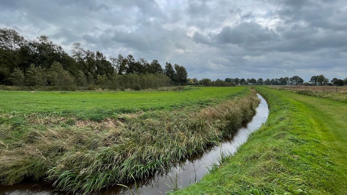 Gieterveen perenboomgaard