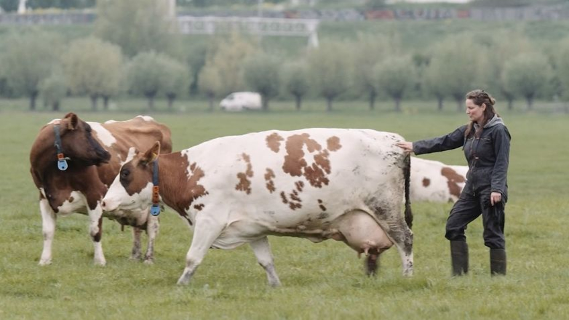 Boeren van nu: zij pakken het anders aan