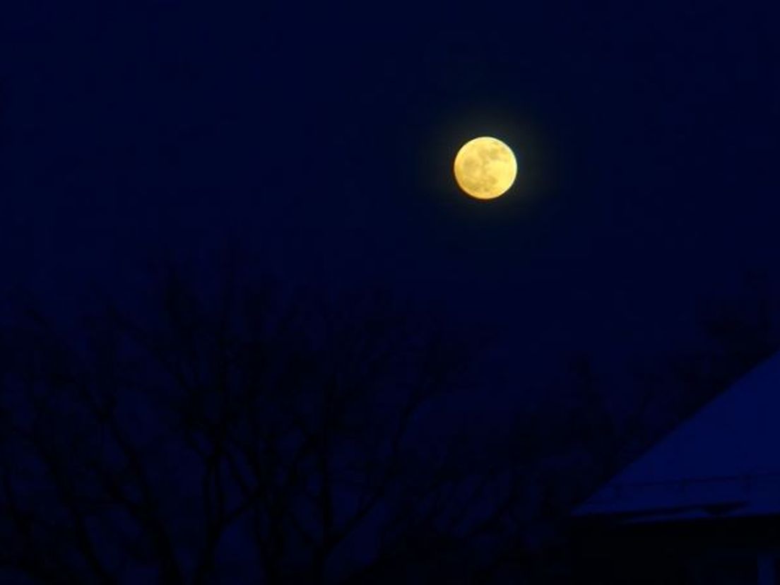 Welke nacht is dit nou?