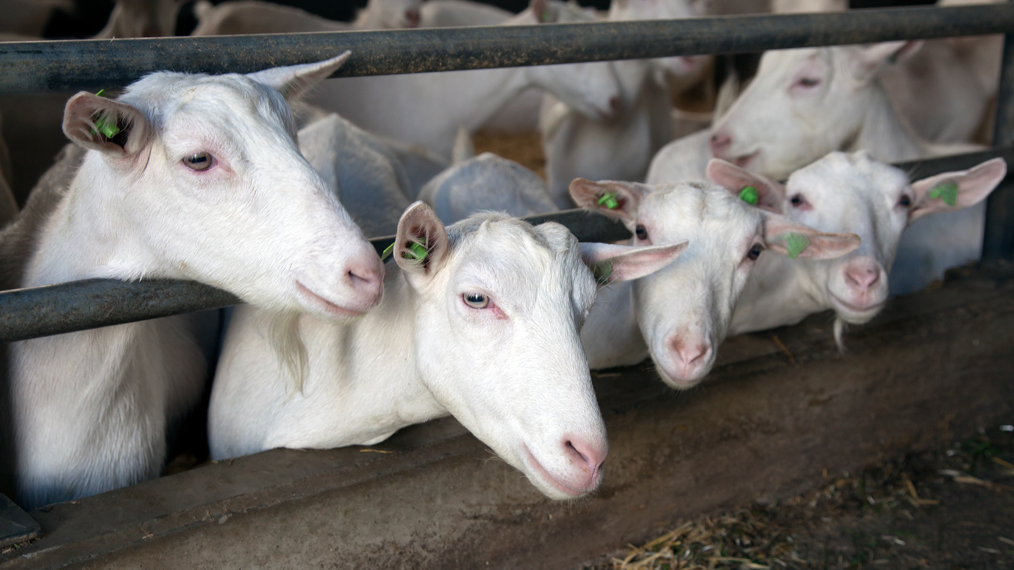Home