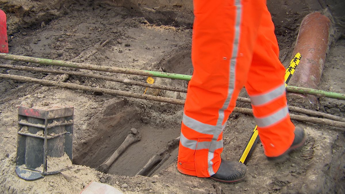 Eeuwenoude skeletten gevonden bij graafwerk in Vogelwaarde: 'Zo'n grote opgraving is bijzonder'