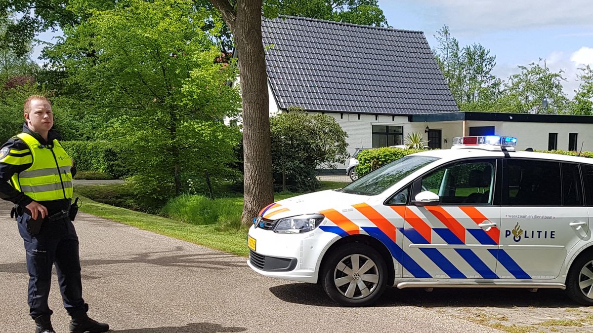 Loslopende tijgers in Nijeberkoop verdoofd