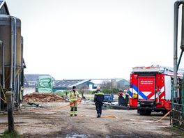 Koeien dood na vrijkomen mestgas bij boerderij in Geesbrug