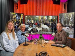 Eeuwenoude traditie, handel en sfeer: beluister de podcast over de geschiedenis van de Zuidlaardermarkt