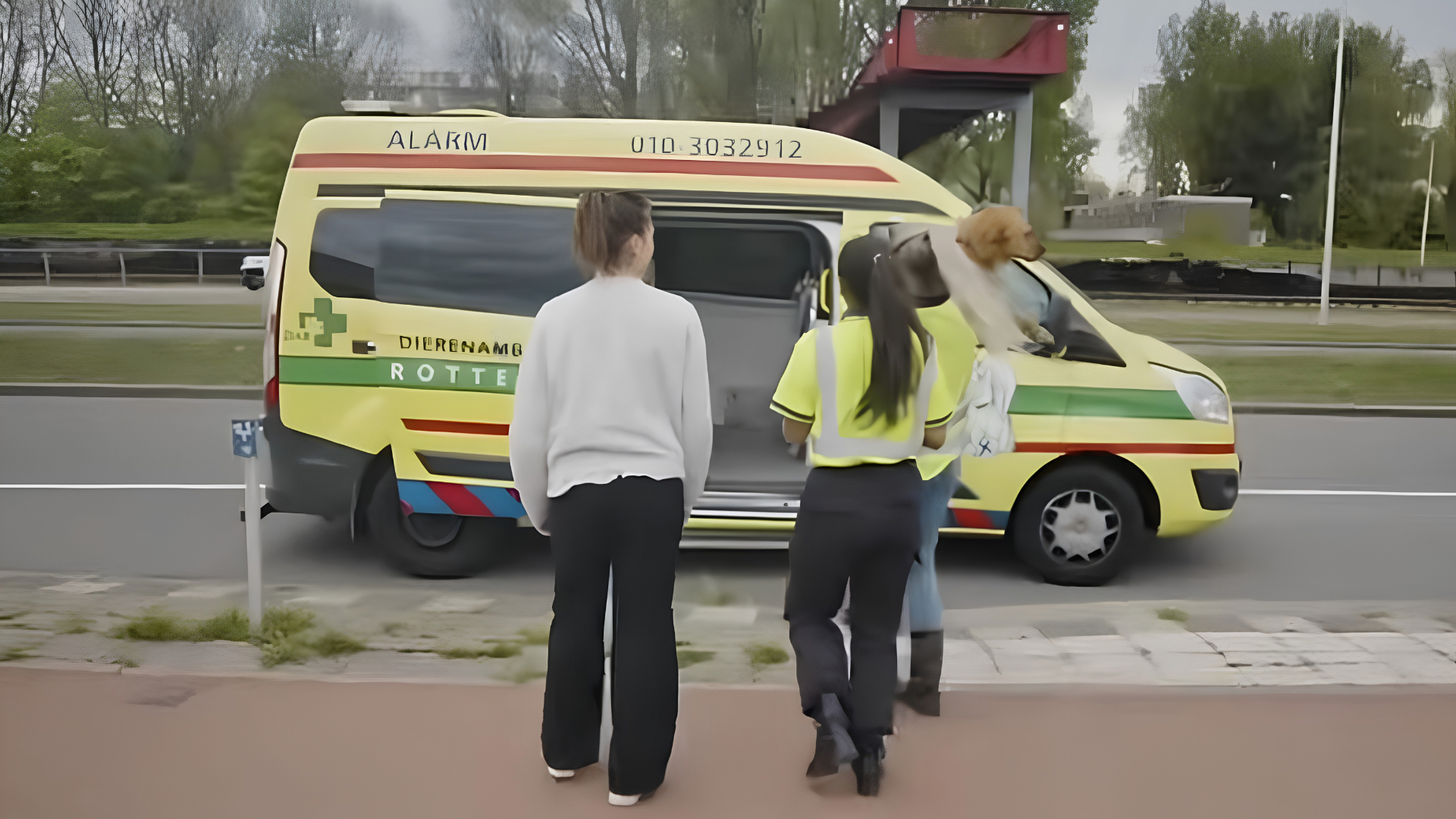 Het wagenpark van de Dierenambulance is aan vervanging toe.