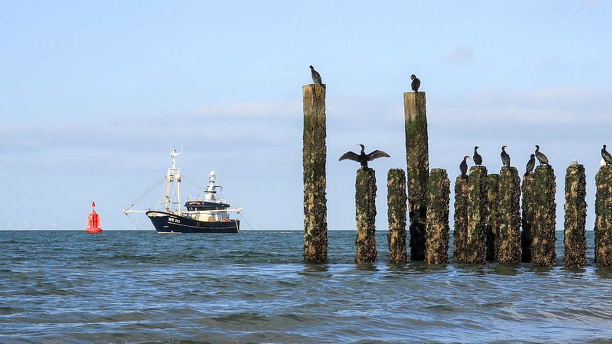 Merkstrateeg: 'Zeeland staat bekend als toeristisch merk, maar economisch liggen er nog veel kansen'