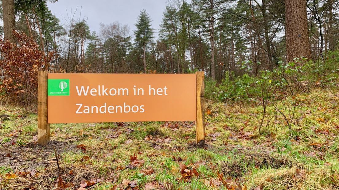 Het Zandenbos.