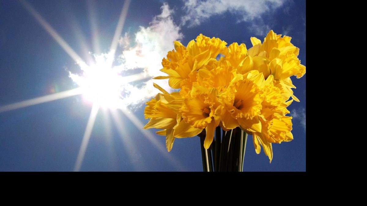 Wie wil jij in het zonnetje zetten? - RTV Noord