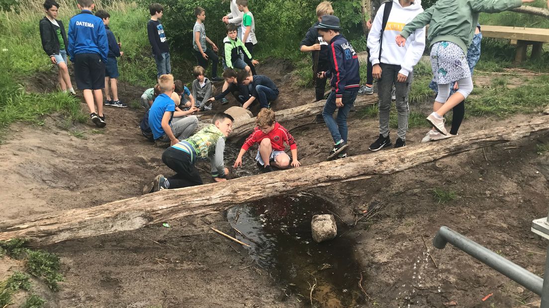 Spelen op de natuurspeelplaats in Kloosterveen is over enkele jaren voorbij (Rechten: Margriet Benak / RTV Drenthe)