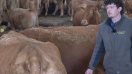 Een kijkboerderij in de Onlanden