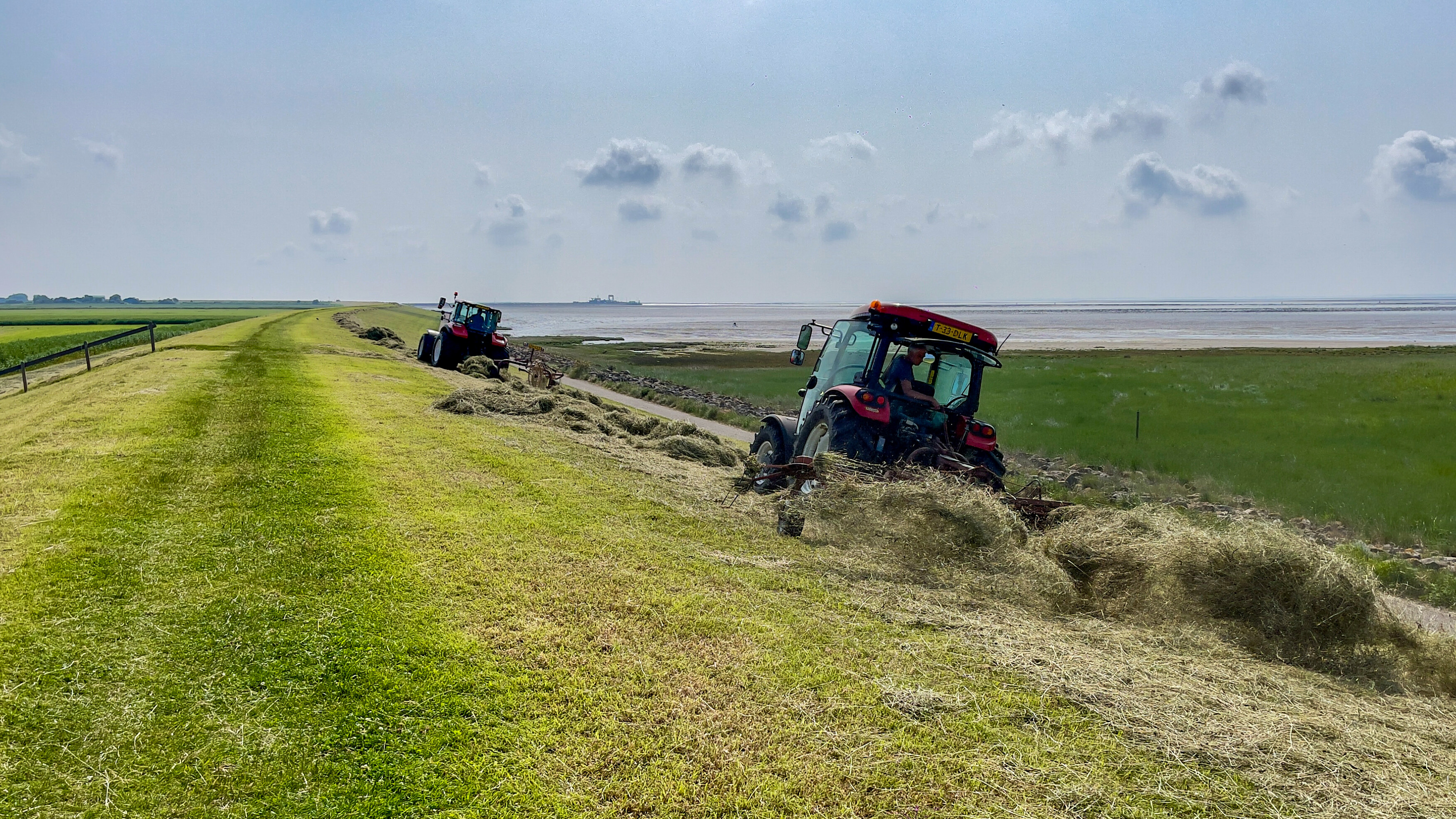 Boeren aan het werk op Schiermonnikoog