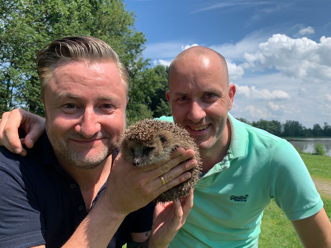 Dennis Weening met een egel bij de egelopvang.