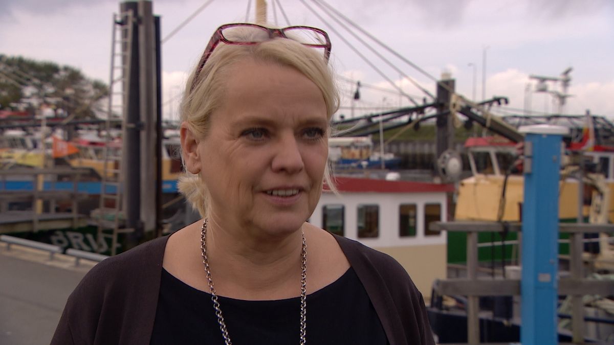 Wéér een woordenwisseling over het landgoed in Zonnemaire tijdens raadsvergadering: 'Ik vind hier wa