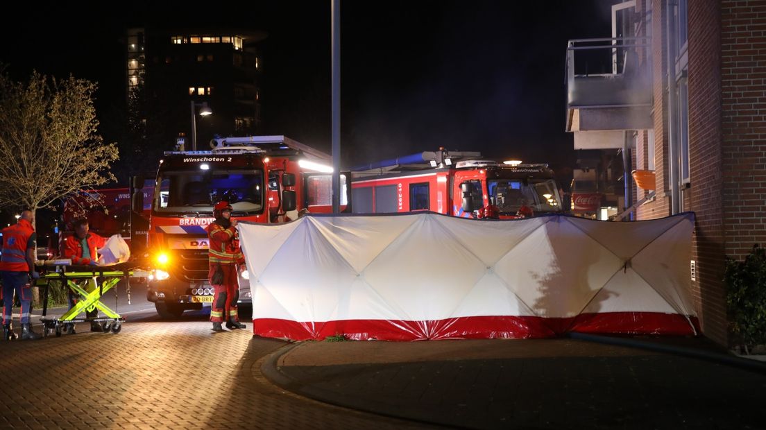 Een zichtscherm bij de woning in Winschoten