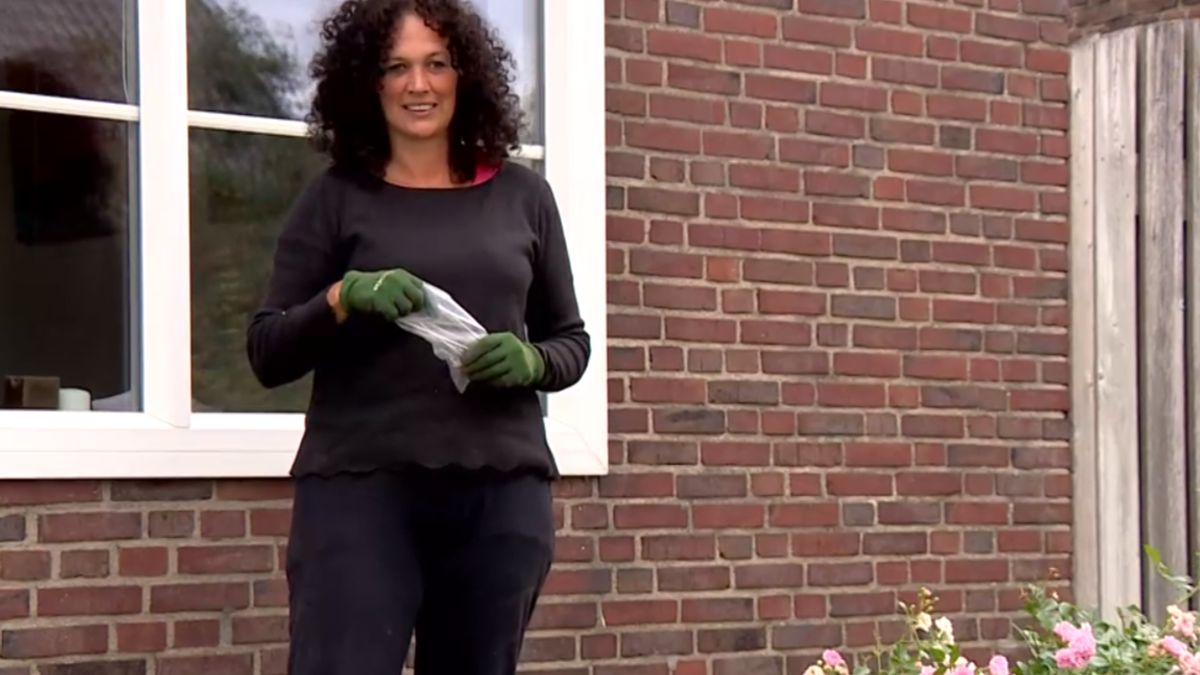Óngerwaeg verhuist van Ratterdam naar Buggenum