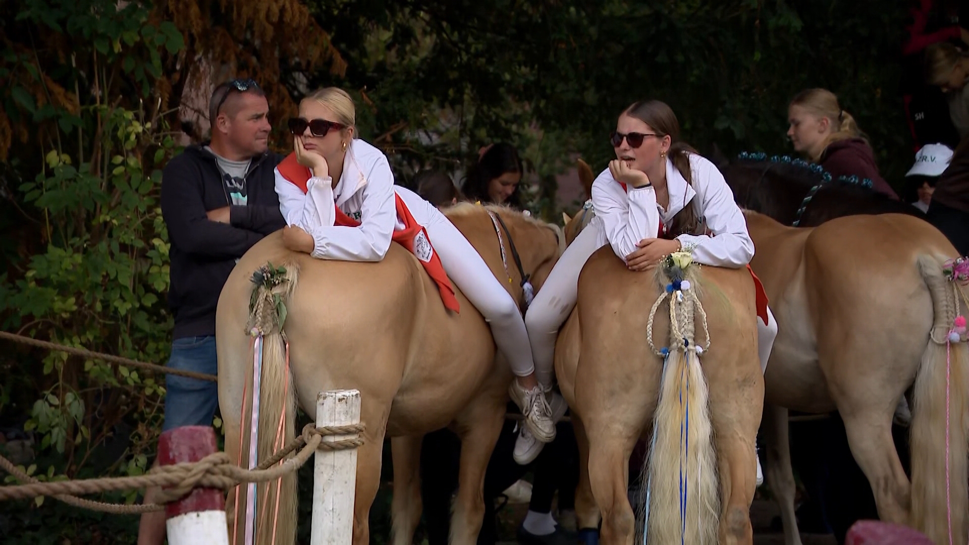 LIVE: Zeeuws Kampioenschap Ringrijden in volle gang: versierde paarden en koninklijke beeldjes