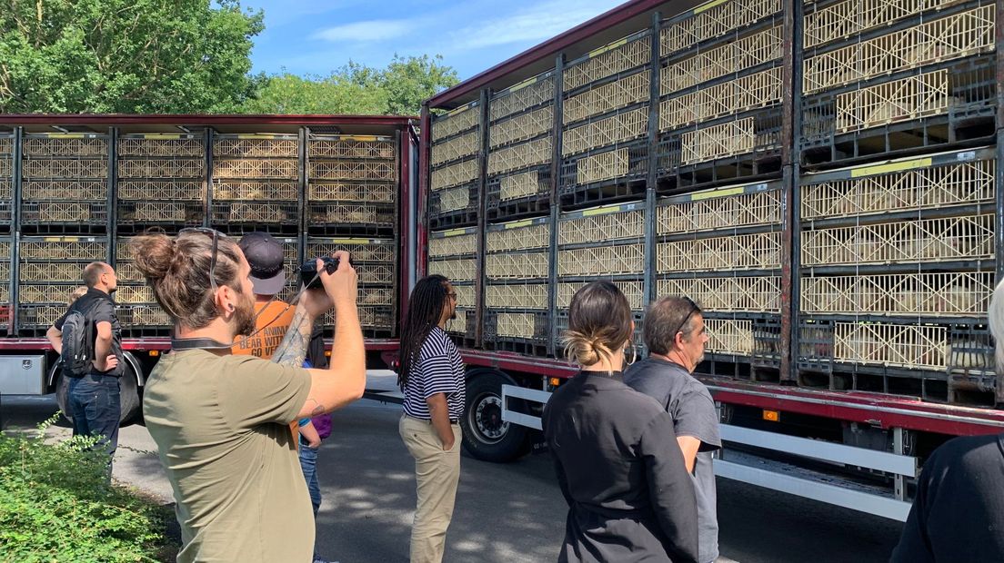 Actievoerders maken foto's van het kippentransport naar slachterij Plukon