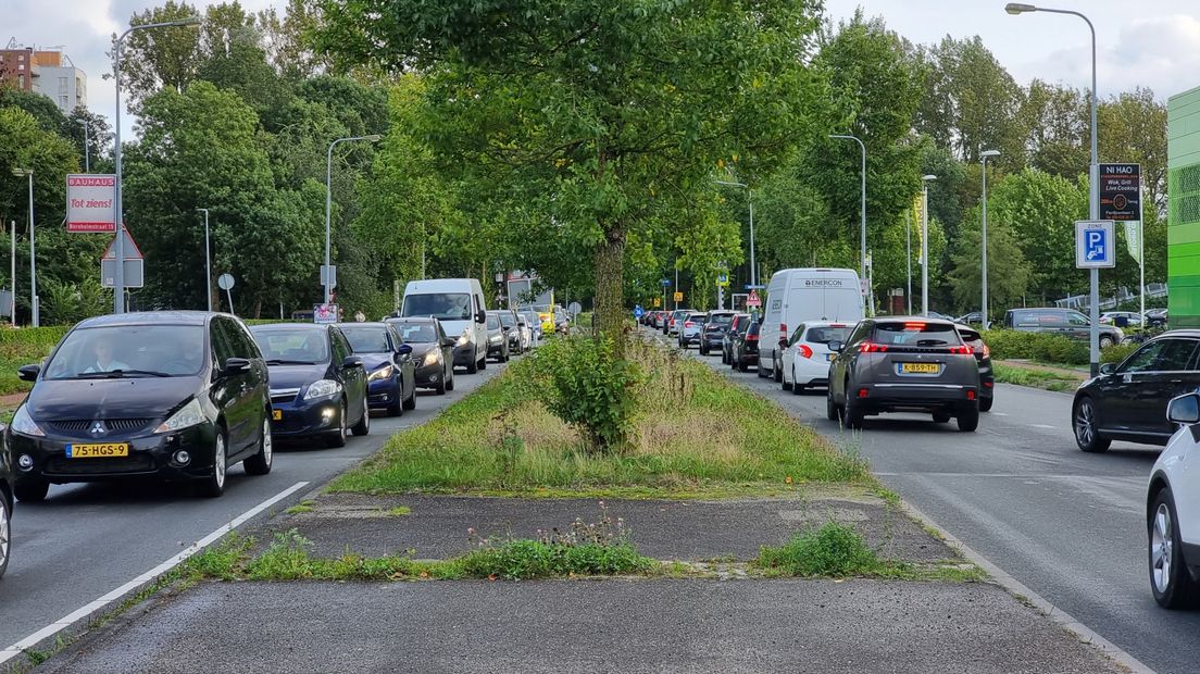 Drukte op de Laan Corpus den Hoorn