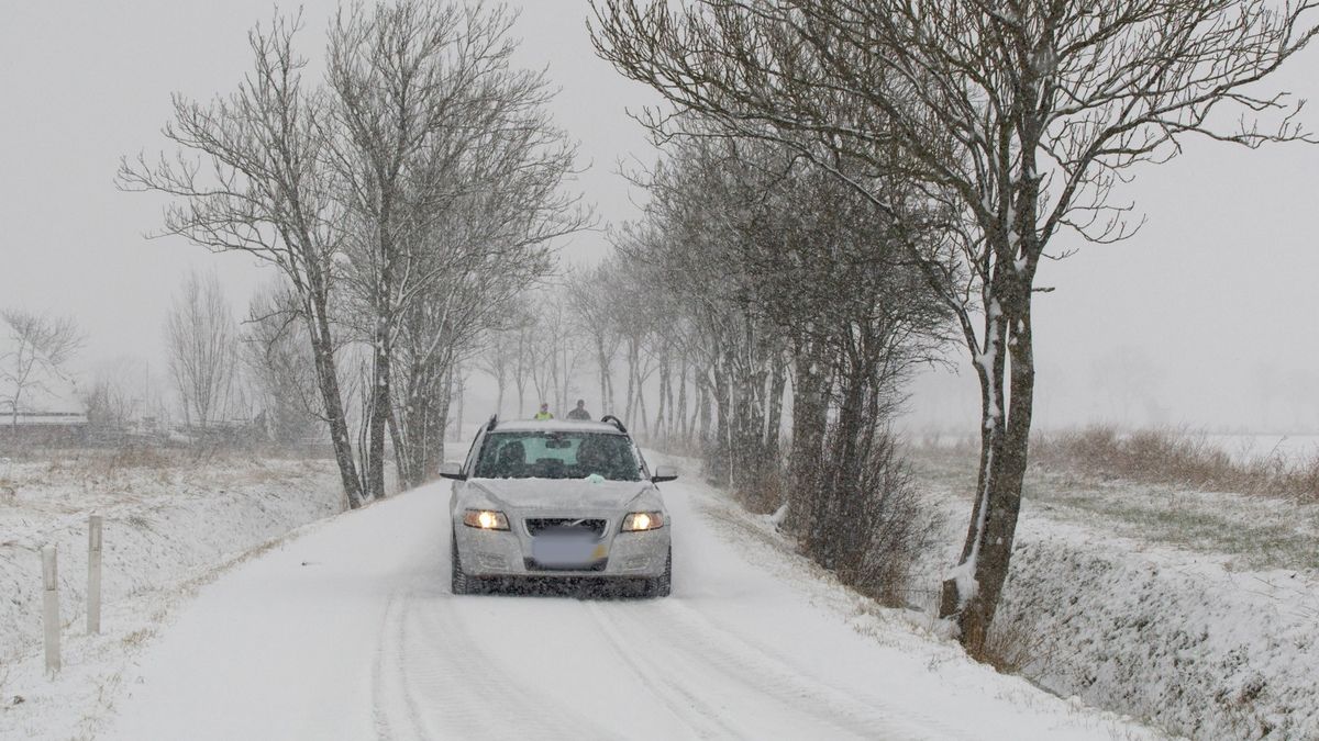 Piet Paulusma blijft erbij 'Het wordt een extreme winter' RTV Noord