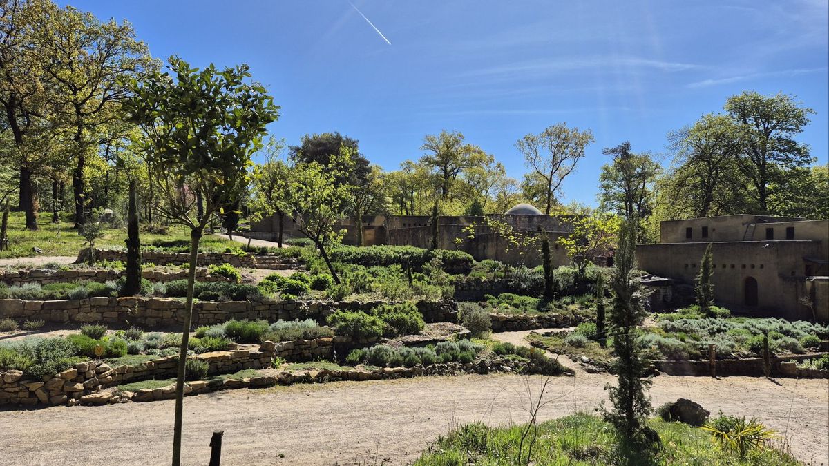 Gemeente Berg en Dal wil fors investeren in Museumpark Orientalis