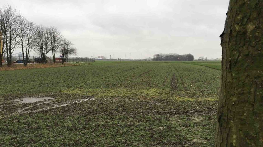 Een van de akkers waar het zonnepark zal herrijzen