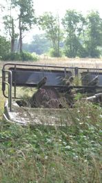 Hulp Drentsche Aa voor planten