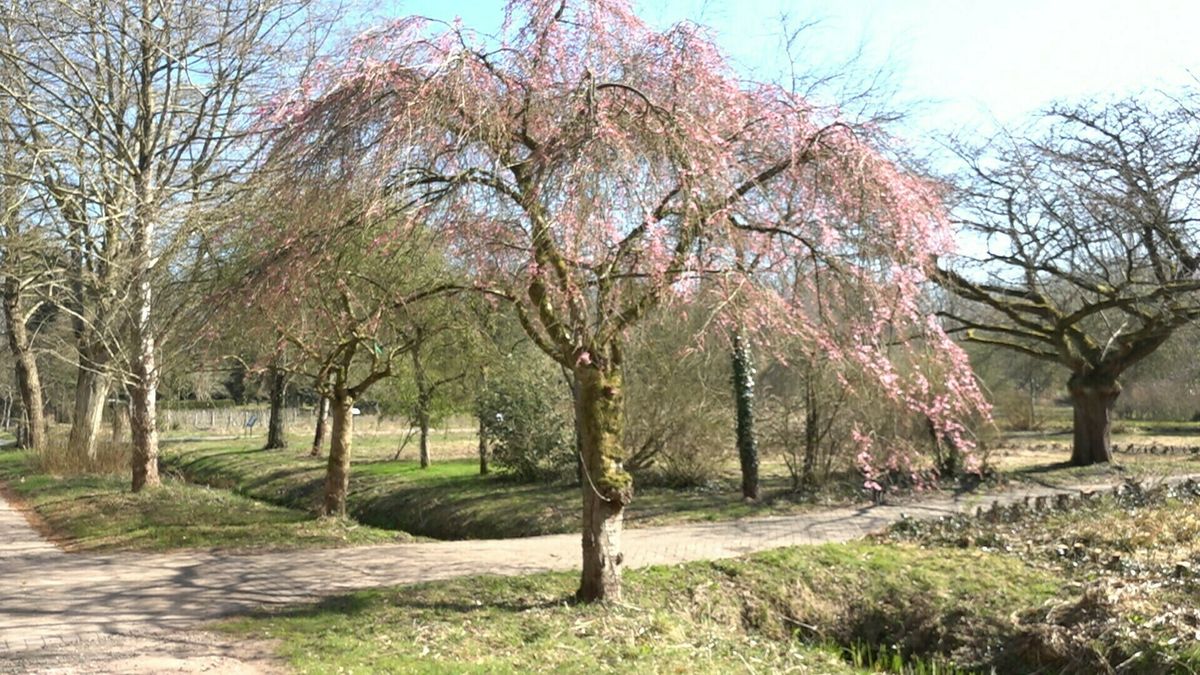 Gemeente Westerveld ontvangt Europees geld voor verbeteren leefbaarheid in dorpen