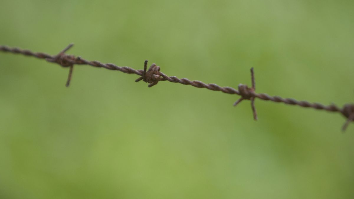 Vissers Lottum boos om prikkeldraad