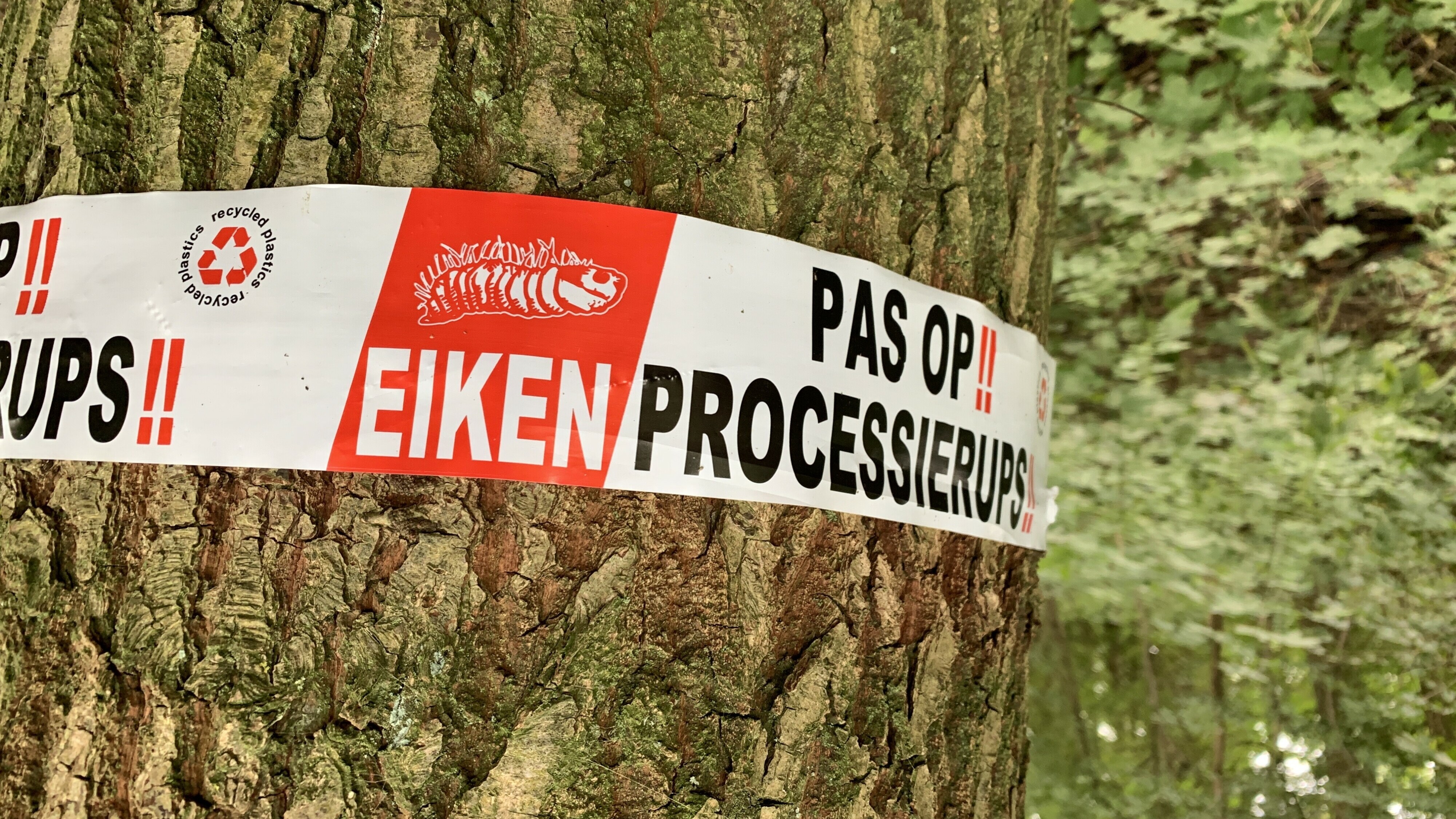 Jokterûp yn Fryslân noch gjin grut probleem, mar situaasje yn it suden betsjut net folle goeds