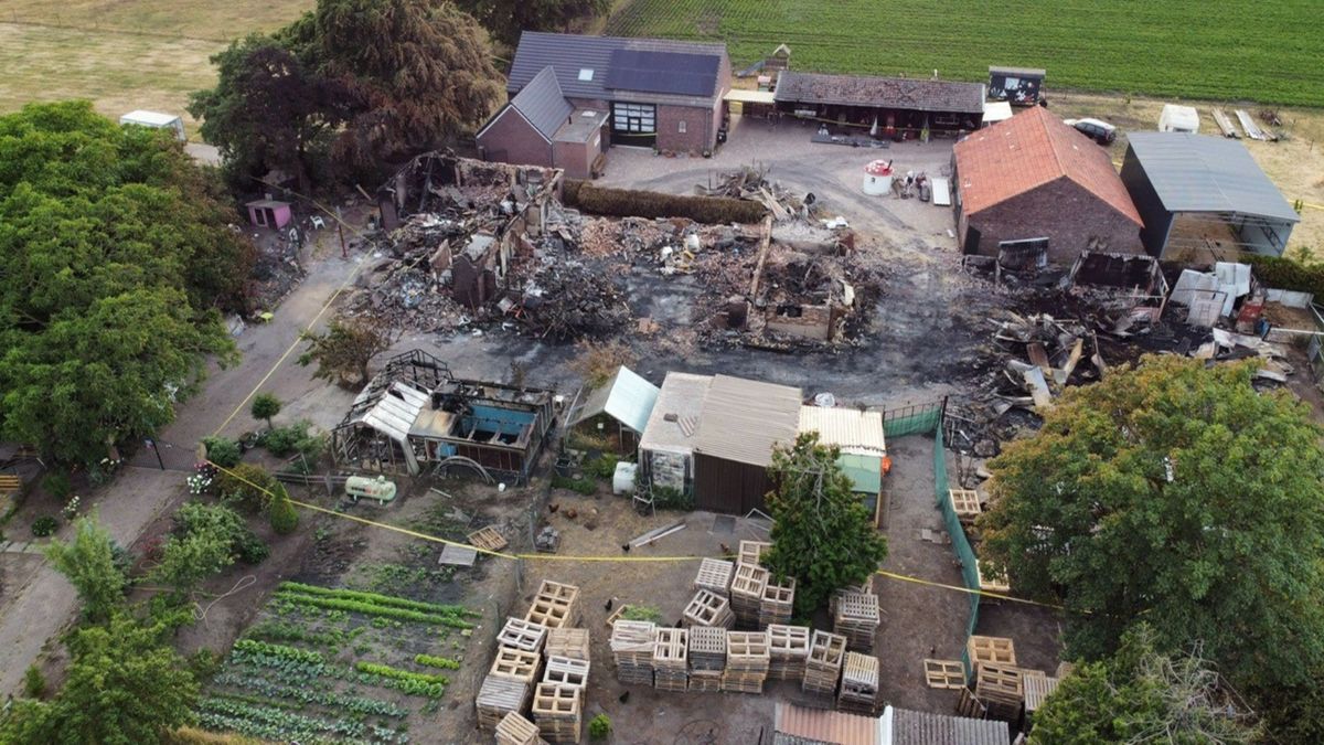 Zeven honden overleefden de felle brand niet, Lucky wel