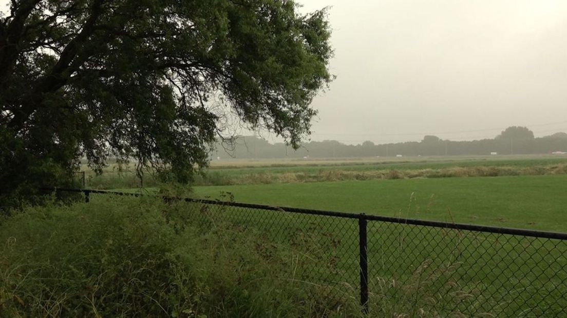 Op deze locatie moeten 90.000 zonnepalen komen.