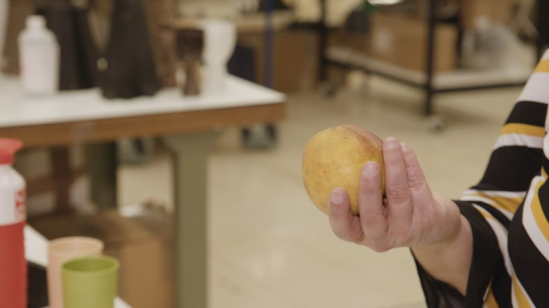 Op zoek naar plastic gemaakt van appelzuur