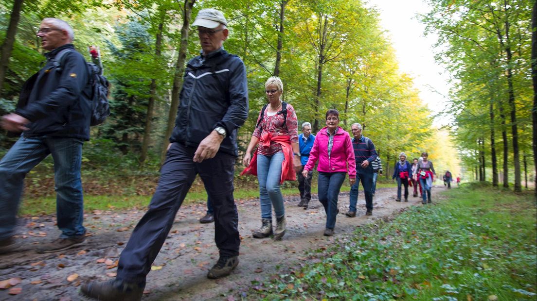 Slotdag van de Sallandse Wandelvierdaagse