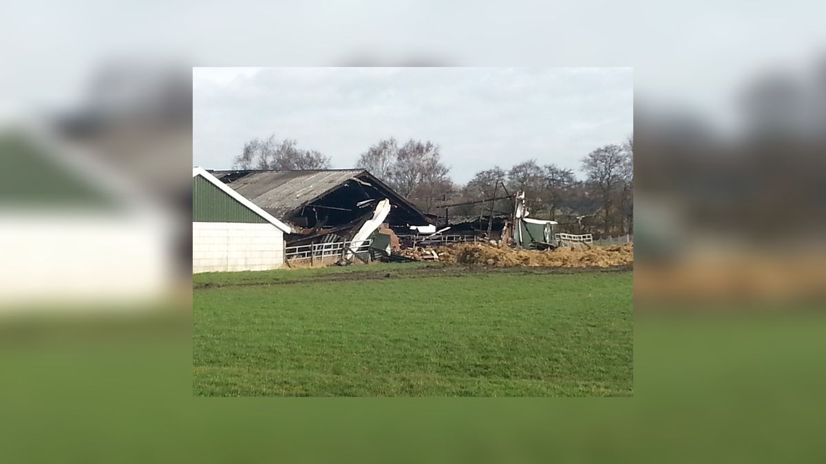 600 geiten gedood door brand