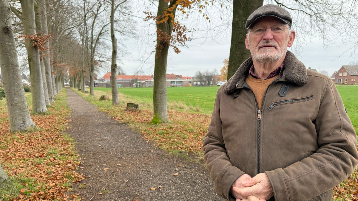 Reddingsplan voor markante beukenlaan in Barger-Compascuum: helft bomen wordt vervangen