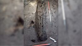Archeologen vinden zeldzaam graf onder Grote Markt: 'Niet iets wat je dagelijks vindt'