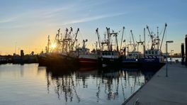 Rechtbank Groningen zet vergunningen voor garnalenvissers nog verder onder druk