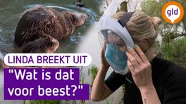 Op fietsvakantie #1 'Is Gelderland een snorkelparadijs?'
