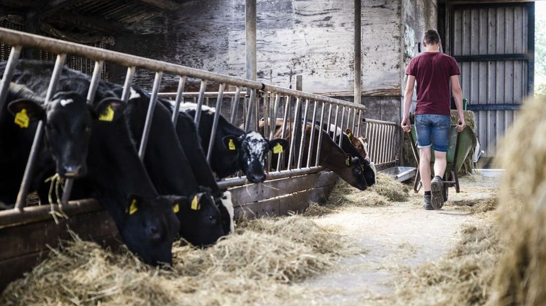 Deel coalitie kraakt stikstofbeleid.