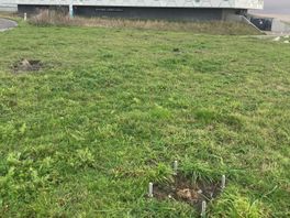 'Blije vissen' bij het Wadden Center op de Afsluitdijk zijn verdwenen