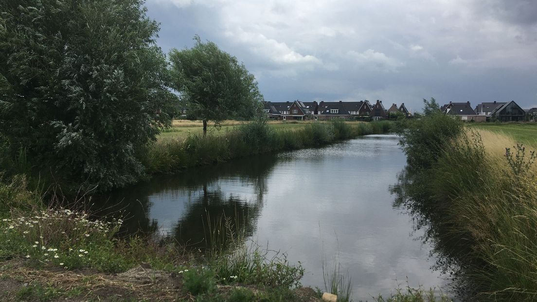 In de nieuwbouwwijk Broekgraaf leven beschermde padden en kikkers.