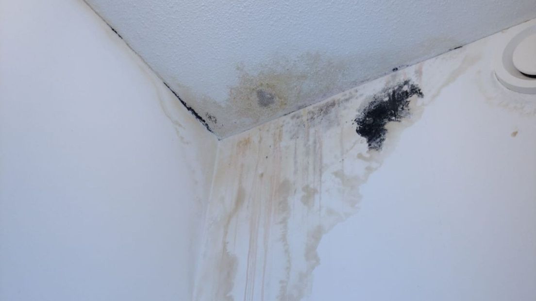 Schimmel in de woning