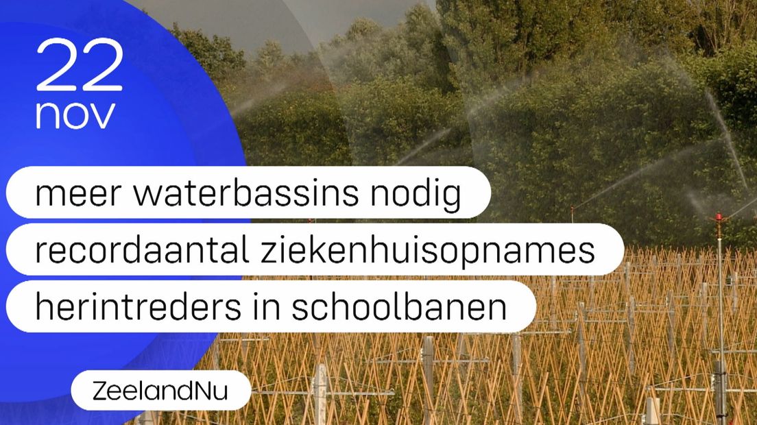 Zeeland Nu