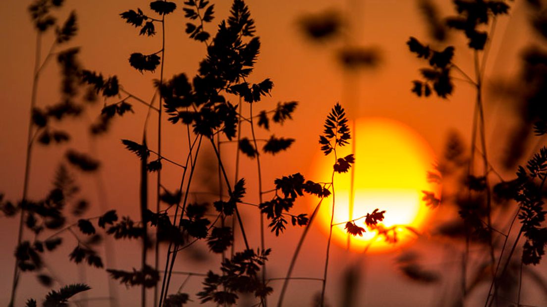 Het is de warmste 6 november ooit (Rechten: Karin Broekhuijsen/RTV Drenthe)