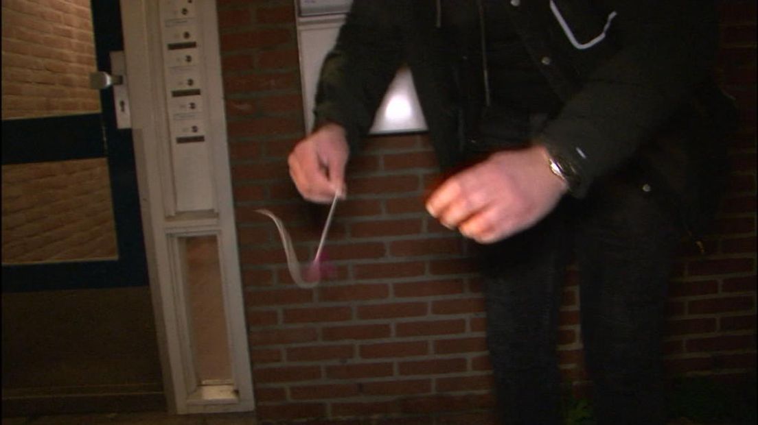 TV West Nieuws